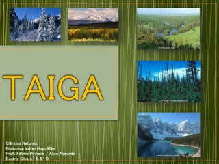 en.wikipedia.org
weldytaigabiome.weebly.com
The-taiga-biome.weebly.com
Ciências Naturais
Biblioteca Valter Hugo Mãe
Prof.: Fátima Pinheiro / Alice Azevedo
Beatriz Silva n.º 5, 8.º D
www.colegioweb.com.br www.allposters.com.br
 