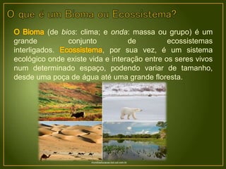 (de bios: clima; e onda: massa ou grupo) é um
grande conjunto de ecossistemas
interligados. , por sua vez, é um sistema
ecológico onde existe vida e interação entre os seres vivos
num determinado espaço, podendo variar de tamanho,
desde uma poça de água até uma grande floresta.
mundoeducacao.bol.uol.com.br
 