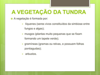 A VEGETAÇÃO DA TUNDRA
 A vegetação é formada por:
 líquenes (seres vivos constituídos da simbiose entre
fungos e algas);
 musgos (plantas muito pequenas que se fixam
formando um tapete verde);
 gramíneas (gramas ou relvas, e possuem folhas
pontiagudas);
 arbustos.
 