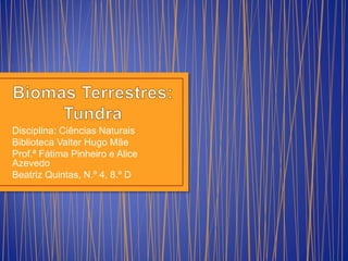 Disciplina: Ciências Naturais
Biblioteca Valter Hugo Mãe
Prof.ª Fátima Pinheiro e Alice
Azevedo
Beatriz Quintas, N.º 4, 8.º D
 