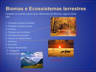 Existem no mundo vários tipos diferentes de Biomas, alguns deles
são:
1. Florestas tropicais húmidas;
2. Florestas tropicais secas;
3 Tundras;
4. Floresta das Coníferas;
5. Florestas temperadas;
6. Bioma do mediterrâneo;
7. Desertos;
8. Savanas;
9. Prados temperados;
10. Chaparral;
11. Montanhas.
ultradownloads.com.br
www.colegioweb.com
.br
 