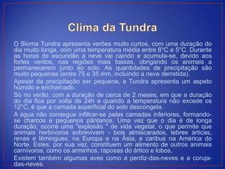 O Bioma Tundra apresenta verões muito curtos, com uma duração do
dia muito longa, com uma temperatura média entre 8°C e 5°C. Durante
as horas de escuridão a neve vai caindo e acumula-se, devido aos
fortes ventos, nas regiões mais baixas, obrigando os animais a
permanecerem junto ao solo. As quantidades de precipitação são
muito pequenas (entre 75 e 35 mm, incluindo a neve derretida).
Apesar da precipitação ser pequena, a Tundra apresenta um aspeto
húmido e encharcado.
Só no verão, com a duração de cerca de 2 meses, em que a duração
do dia fica por volta de 24h e quando a temperatura não excede os
12°C, é que a camada superficial do solo descongela.
A água não consegue infiltrar-se pelas camadas inferiores, formando-
se charcos e pequenos pântanos. Uma vez que o dia é de longa
duração, ocorre uma "explosão " de vida vegetal, o que permite que
animais herbívoros sobrevivam - bois almiscarados, lebres árticas,
renas e lêmingues, na Europa e na Ásia, e caribus na América do
Norte. Estes, por sua vez, constituem um alimento de outros animais
carnívoros, como os arminhos, raposas do ártico e lobos.
Existem também algumas aves como a perdiz-das-neves e a coruja-
das-neves.
 