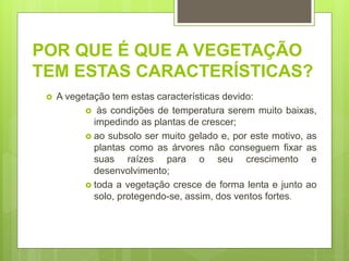 POR QUE É QUE A VEGETAÇÃO
TEM ESTAS CARACTERÍSTICAS?
 A vegetação tem estas características devido:
 às condições de temperatura serem muito baixas,
impedindo as plantas de crescer;
 ao subsolo ser muito gelado e, por este motivo, as
plantas como as árvores não conseguem fixar as
suas raízes para o seu crescimento e
desenvolvimento;
 toda a vegetação cresce de forma lenta e junto ao
solo, protegendo-se, assim, dos ventos fortes.
 