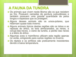 A FAUNA DA TUNDRA
 Os animais que vivem neste Bioma são os que resistem
ao frio. Possuem camadas de gordura subcutâneas e
também possuem uma grande quantidade de pelos
longos e espessos que os protegem.
 Alguns desses animais são os ursos-polares, que
hibernam quase todo inverno.
 Alguns animais típicos destas regiões são os lobos e as
raposas do ártico, os bois almiscarados, as renas, a
coruja-das-neves, o cisne da tundra, a perdiz das neves
e a lebre do ártico.
 Algumas aves e mamíferos utilizam esta região apenas
no verão, emigrando para outras regiões no inverno.
 Os répteis e os anfíbios são praticamente inexistentes
devido à baixa temperatura.
 
