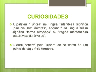 CURIOSIDADES
 A palavra “Tundra” na língua finlandesa significa
"planície sem árvores", enquanto na língua russa
significa “terras elevadas” ou “região montanhosa
desprovida de árvores”.
 A área coberta pela Tundra ocupa cerca de um
quinto da superfície terrestre.
 