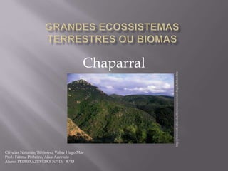 Chaparral
http://interwork.sdsu.edu/fire/resources/san-diego-habitats.htm
Ciências Naturais/Biblioteca Valter Hugo Mãe
Prof.: Fátima Pinheiro/Alice Azevedo
Aluno: PEDRO AZEVEDO, N.º 15, 8.º D
 