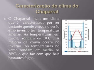  O Chaparral tem um clima
que é caracterizado por ser
bastante quente e seco no verão
e no inverno ter temperaturas
amenas. As temperaturas, em
media, rondam os 10ºC . A
maioria da chuva ocorre no
inverno. As temperaturas no
verão rondam, em média, os
38ºC, o que faz com que haja
bastantes fogos.
 