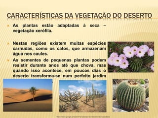 CARACTERÍSTICAS DA VEGETAÇÃO DO DESERTO
 As plantas estão adaptadas à seca –
vegetação xerófila.
 Nestas regiões existem muitas espécies
carnudas, como os catos, que armazenam
água nos caules.
 As sementes de pequenas plantas podem
resistir durante anos até que chova, mas
quando isso acontece, em poucos dias o
deserto transforma-se num perfeito jardim
onde tudo floresce.
https://www.google.pt/search?q=plantas+do+deserto+do+saara&biw
 