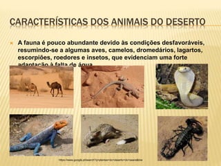 CARACTERÍSTICAS DOS ANIMAIS DO DESERTO
 A fauna é pouco abundante devido às condições desfavoráveis,
resumindo-se a algumas aves, camelos, dromedários, lagartos,
escorpiões, roedores e insetos, que evidenciam uma forte
adaptação à falta de água.
https://www.google.pt/search?q=plantas+do+deserto+do+saara&biw
 
