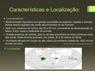 Características e Localização:
 Características:
 Biodiversidade riquíssima com grande quantidade de espécies vegetais e animais.
Muitas destas espécies são ainda desconhecidas do ser humano.
 Solo com cobertura de húmus (de 30 a 50 cm), proveniente da decomposição de
folhas, frutos, fezes e cadáveres de animais.
 Grande presença de sombra, pois as árvores encontram-se muito próximas umas
das outras. Estas árvores possuem, em média, 30 a 50 metros de altura.
 Humidade elevada em função do alto índice pluviométrico (média de 1300 mm de
chuvas por ano); http://www.suapesquisa.com/geografia/florestas_tropicais.htm
pt.mongabay.com
 Localização:
 