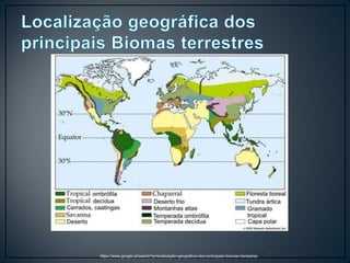 https://www.google.pt/search?q=localização+geografica+dos+principais+biomas+terrestres
 