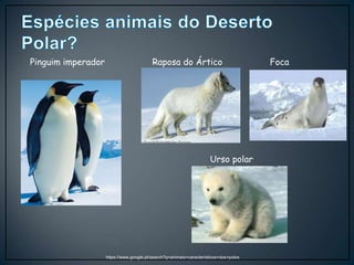 https://www.google.pt/search?q=animais+característicos+dos+polos
Pinguim imperador Raposa do Ártico Foca
Urso polar
 