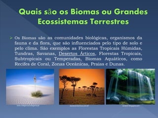  Os Biomas são as comunidades biológicas, organismos da
fauna e da flora, que são influenciados pelo tipo de solo e
pelo clima. São exemplos as Florestas Tropicais Húmidas,
Tundras, Savanas, Desertos Árticos, Florestas Tropicais,
Subtropicais ou Temperadas, Biomas Aquáticos, como
Recifes de Coral, Zonas Oceânicas, Praias e Dunas.
www.colegiovascodagama.pt verde37.blogspot.comescola.britannica.com.br
 