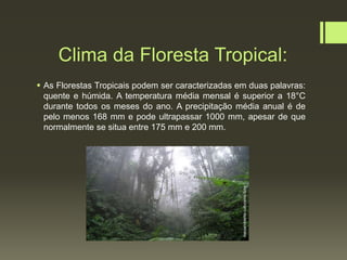 Clima da Floresta Tropical:
 As Florestas Tropicais podem ser caracterizadas em duas palavras:
quente e húmida. A temperatura média mensal é superior a 18°C
durante todos os meses do ano. A precipitação média anual é de
pelo menos 168 mm e pode ultrapassar 1000 mm, apesar de que
normalmente se situa entre 175 mm e 200 mm.
meioambiente.culturamix.com
 