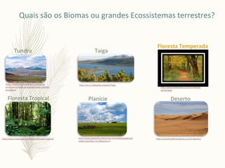 Quais são os Biomas ou grandes Ecossistemas terrestres?
Tundra
https://wildtracks.wordpress.com/world-
ecosystems/tundra-ecosystems/arctic-tundra-
ecosystem/
Taiga
https://en.m.wikipedia.org/wiki/Taiga
Floresta Temperada
http://www.todamateria.com.br/floresta-
temperada/
Floresta Tropical
http://www.infoescola.com/biomas/floresta-tropical/
Planície
http://www.geografia.seed.pr.gov.br/modules/galeria/d
etalhe.php?foto=1517&evento=7
Deserto
https://celminha30.wordpress.com/o-deserto/
 