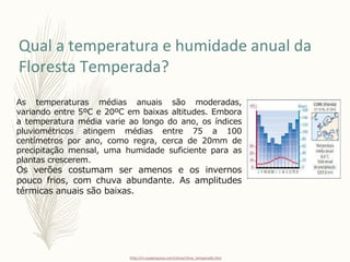 Qual a temperatura e humidade anual da
Floresta Temperada?
As temperaturas médias anuais são moderadas,
variando entre 5ºC e 20ºC em baixas altitudes. Embora
a temperatura média varie ao longo do ano, os índices
pluviométricos atingem médias entre 75 a 100
centímetros por ano, como regra, cerca de 20mm de
precipitação mensal, uma humidade suficiente para as
plantas crescerem.
Os verões costumam ser amenos e os invernos
pouco frios, com chuva abundante. As amplitudes
térmicas anuais são baixas.
http://m.suapesquisa.com/clima/clima_temperado.htm
 