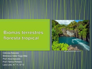 Ciências Naturais
Biblioteca Valter Hugo Mãe
Prof: Alice Azevedo
Prof: Fátima Pinheiro
Lara Leite, N.º 11, 8.º D
www.achetudoeregiao.com.br
 