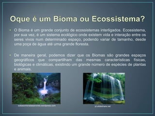 • O Bioma é um grande conjunto de ecossistemas interligados. Ecossistema,
por sua vez, é um sistema ecológico onde existem vida e interação entre os
seres vivos num determinado espaço, podendo variar de tamanho, desde
uma poça de água até uma grande floresta.
• De maneira geral, podemos dizer que os Biomas são grandes espaços
geográficos que compartilham das mesmas características físicas,
biológicas e climáticas, existindo um grande número de espécies de plantas
e animais.
pt.slideshare.netsobasombradasarvores.wordpress.com
 