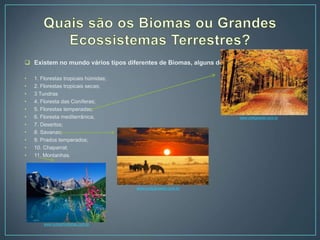  Existem no mundo vários tipos diferentes de Biomas, alguns deles são:
• 1. Florestas tropicais húmidas;
• 2. Florestas tropicais secas;
• 3 Tundras
• 4. Floresta das Coníferas;
• 5. Florestas temperadas;
• 6. Floresta mediterrânica;
• 7. Desertos;
• 8. Savanas;
• 9. Prados temperados;
• 10. Chaparral;
• 11. Montanhas.
www.colegioweb.com.br
www.outrasfronteiras.com.br
www.colegioweb.com.br
 