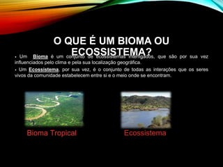 O QUE É UM BIOMA OU
ECOSSISTEMA?• Um Bioma é um conjunto de ecossistemas interligados, que são por sua vez
influenciados pelo clima e pela sua localização geográfica.
• Um Ecossistema, por sua vez, é o conjunto de todas as interações que os seres
vivos da comunidade estabelecem entre si e o meio onde se encontram.
Bioma Tropical
www.avina.net
Ecossistema
www. geocaching.com
 
