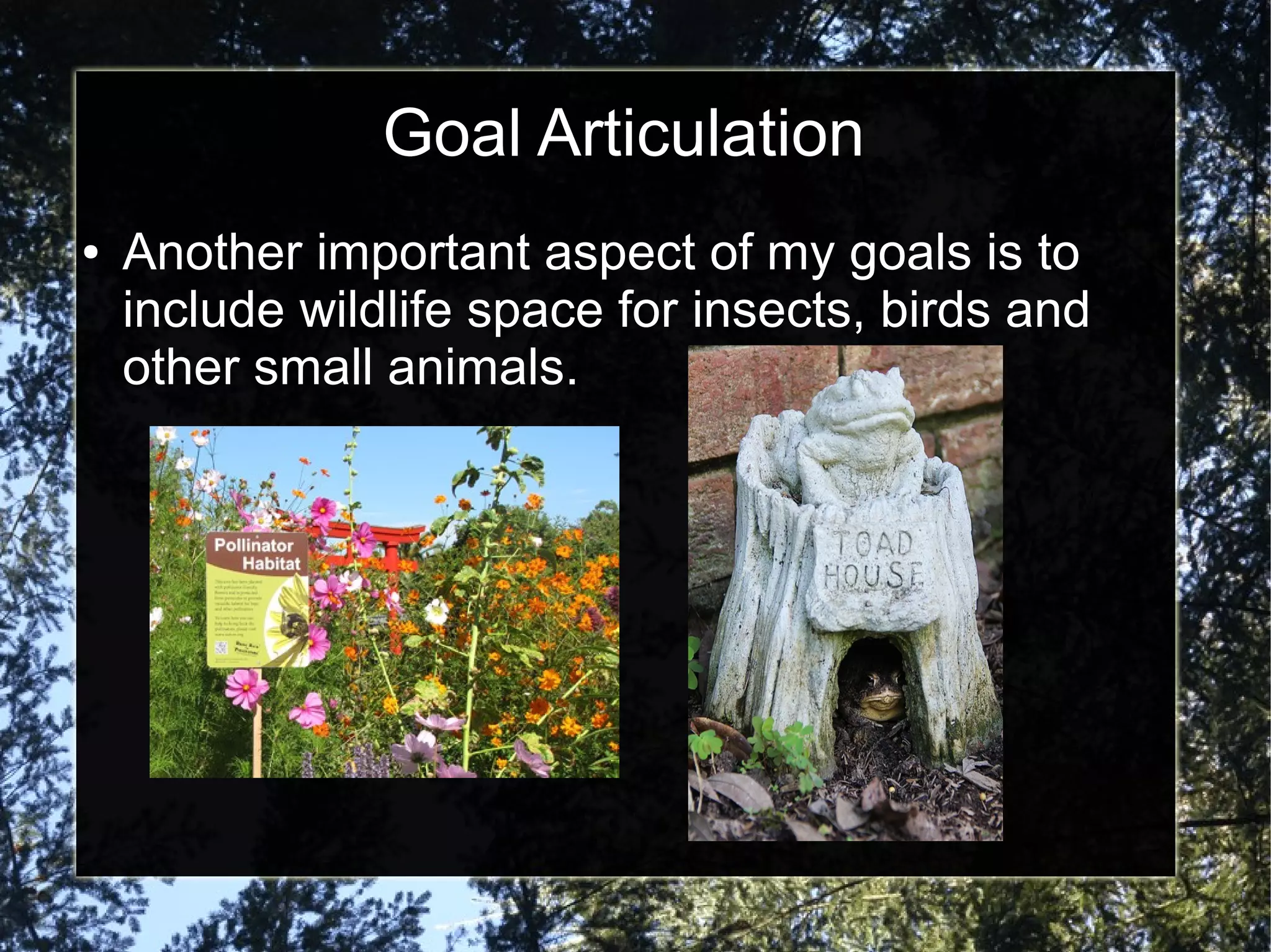 Goal Articulation
● Another important aspect of my goals is to
include wildlife space for insects, birds and
other small animals.
 