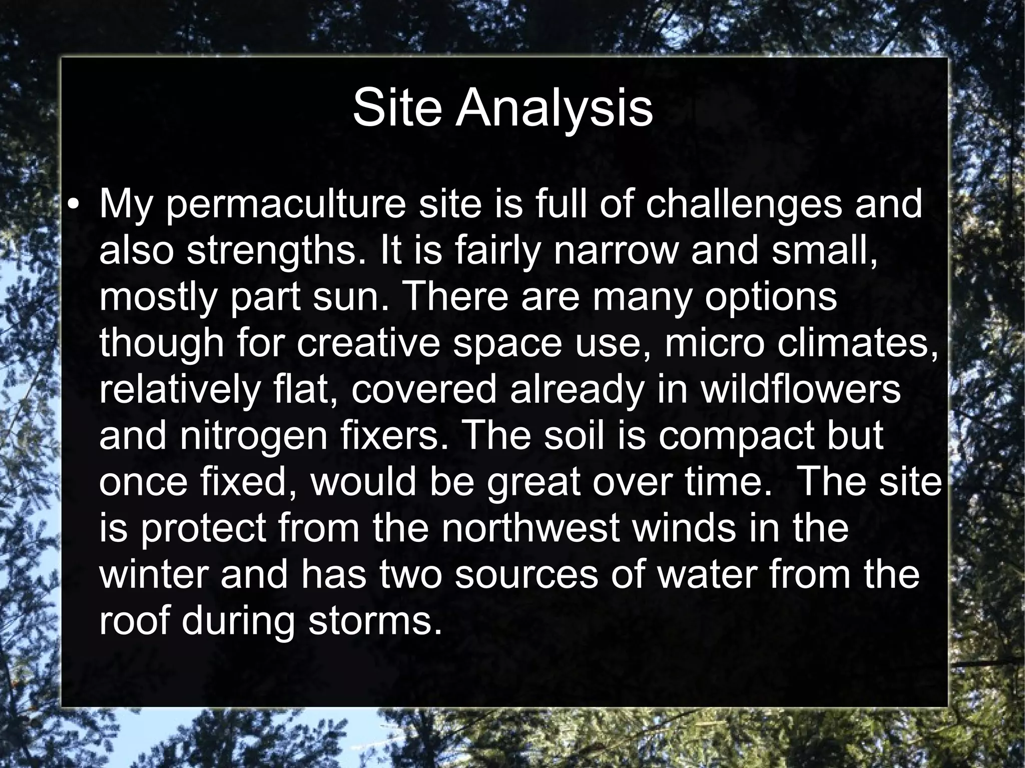 Site Analysis
● My permaculture site is full of challenges and
also strengths. It is fairly narrow and small,
mostly part sun. There are many options
though for creative space use, micro climates,
relatively flat, covered already in wildflowers
and nitrogen fixers. The soil is compact but
once fixed, would be great over time. The site
is protect from the northwest winds in the
winter and has two sources of water from the
roof during storms.
 