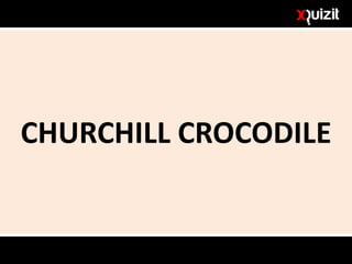 CHURCHILL CROCODILE
 