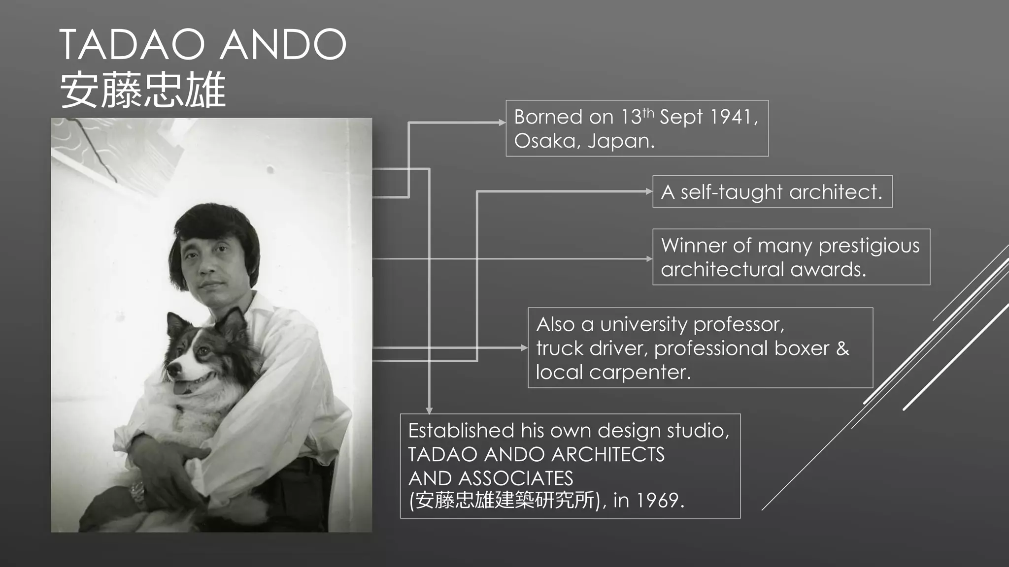 KOSHINO-HOUSE-ANDO-TADAO-3-