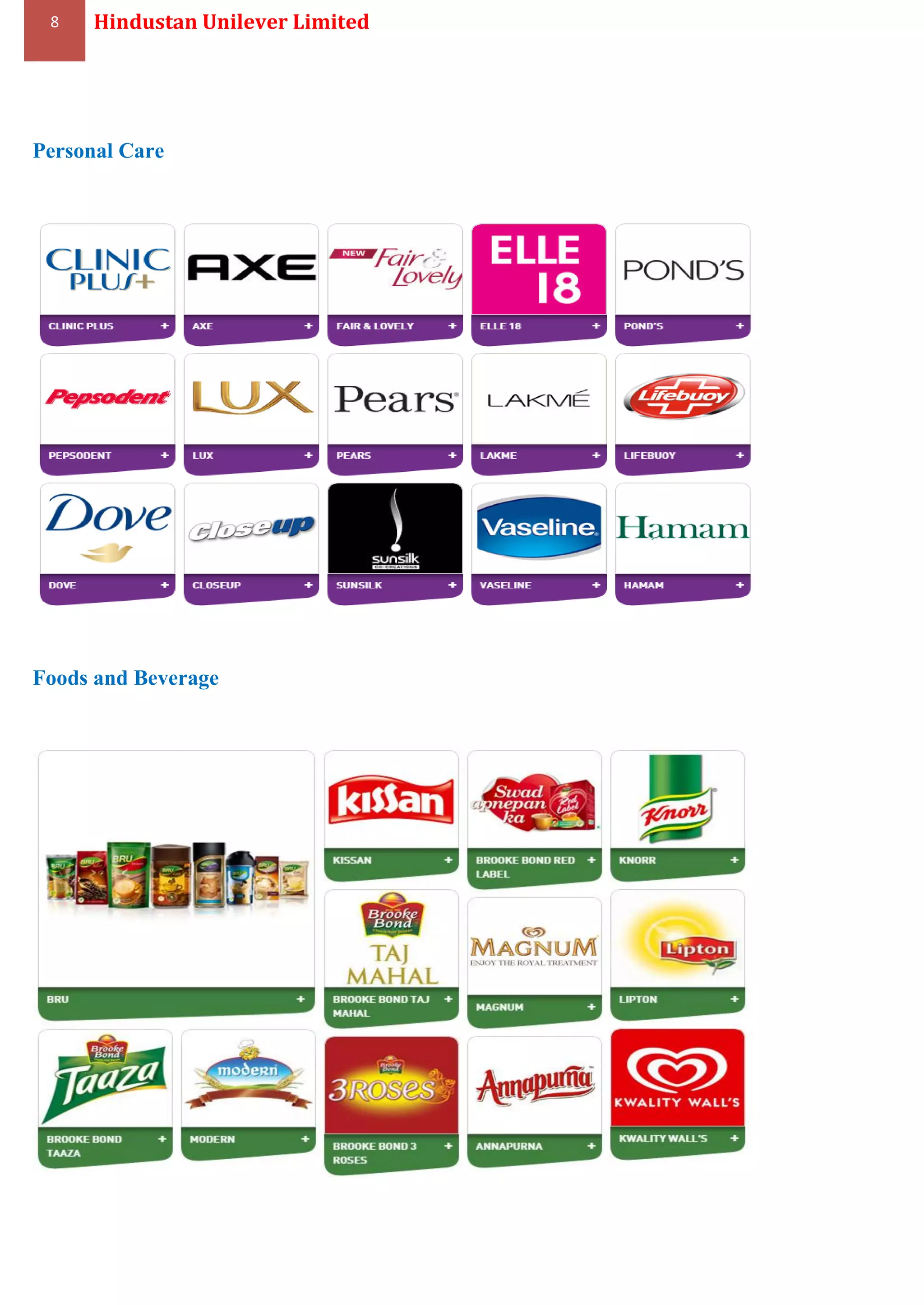 8 Hindustan Unilever Limited
Personal Care
Foods and Beverage
 