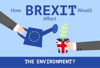 THE ENVIRONMENT?
BREXITHow Would
Affect
 