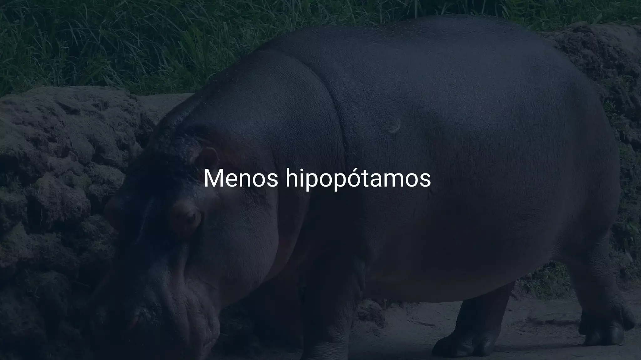Menos hipopótamos
 