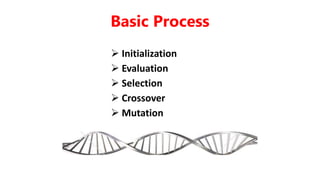  Initialization
 Evaluation
 Selection
 Crossover
 Mutation
Basic Process
 