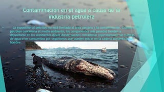 • La exposición al petróleo no está limitada al área cercana a la contaminación. Cuando el
petróleo contamina el medio ambiente, los componentes más pesados tienden a
depositarse en los sedimentos desde donde pueden contaminar repetidamente las fuentes
de agua o ser consumidos por organismos que pueden entrar en la cadena alimenticia del
hombre.
 