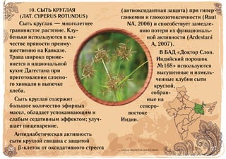 26 27БАД НЕ ЯВЛЯЕТСЯ ЛЕКАРСТВОМ
Сыть круглая — многолетнее
травянистое растение. Клу-
беньки используются в ка-
честве пряности преиму-
щественно на Кавказе.
Трава широко приме-
няется в национальной
кухне Дагестана при
приготовлении слоено-
го хинкали и выпечке
хлеба.
Сыть круглая содержит
большое количество эфирных
масел, обладает успокаивающим и
слабым седативным эффектом; улуч-
шает пищеварение.
Антидиабетическая активность
сыти круглой связана с защитой
β-клеток от оксидативного стресса
(антиоксидантная защита) при гипер-
гликемии и глюкозотоксичности (Raut
NA, 2006) и способствует замедле-
нию потери их функциональ-
ной активности (Ardestani
A, 2007).
В БАД «Доктор Слон.
Индийский порошок
№168» используются
высушенные и измель-
ченные клубни сыти
круглой,
собран-
ные на
северо-
востоке
Индии.
10. СЫТЬ КРУГЛАЯ
(ЛАТ. CYPERUS ROTUNDUS)
 
