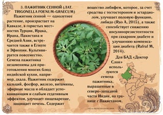 12 13БАД НЕ ЯВЛЯЕТСЯ ЛЕКАРСТВОМ
Пажитник сенной — однолетнее
растение, произрастает на
Кавказе, в гористых мест-
ностях Турции, Ирака,
Ирана, Пакистана и
Средней Азии, встре-
чается также в Египте
и Эфиопии. Культиви-
руется повсеместно.
Семена пажитника
незаменимы для при-
готовления многих блюд
индийской кухни, напри-
мер, дхала. Пажитник содержит
кальций, фосфор, железо, витамины,
эфирные масла и обладает успо-
каивающим и слабым седативным
эффектом, улучшает пищеварение,
защищает печень. Содержит
вещество либифем, которое, за счет
сродства с тестостероном и эстардио-
лом, улучшает половую функцию,
либидо (Rao A, 2015), а также
способствует снижению
инсулинорезистентности
при сахарном диабете и
улучшению компенса-
ции диабета (Rafraf M,
2014).
Для БАД «Доктор
Слон»
исполь-
зуются
семена
пажитника,
выращенные в
северо-западной
части Индии, на гра-
нице с Пакистаном.
3. ПАЖИТНИК СЕННОЙ (ЛАТ.
TRIGONELLA FOENUM-GRAECUM)
 