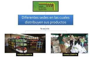 Diferentes sedes en las cuales
distribuyen sus productos
FERIAS COMPITATIENDAS COMPITA
Ya sea a las
 