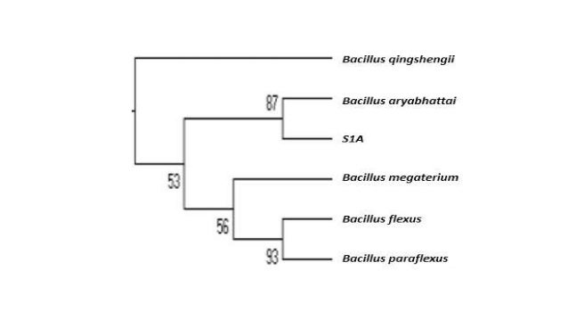 Goa university thesis picture