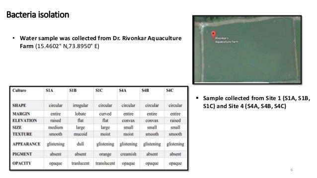 Goa university knowledge portal image