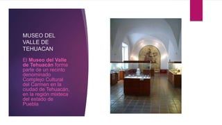 MUSEO DEL
VALLE DE
TEHUACAN
El Museo del Valle
de Tehuacán forma
parte de un recinto
denominado
Complejo Cultural
del Carmen en la
ciudad de Tehuacán,
en la región mixteca
del estado de
Puebla
 