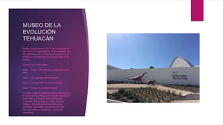MUSEO DE LA
EVOLUCIÓN
TEHUACÁN
Museo inaugurado en 2017, es el único en su
tipo del país, especializado en la evolución de
las especies y en la historia del cosmos, con
énfasis en la evidencia fósil encontrada en el
Estado.
Cuenta con cuatro salas:
Sala 1. Origen del universo y evolución de la
vida.
Sala 2. Los gigantes del Mesozoico.
Sala 3. La expansión de los mamíferos.
Sala 4. Evolución y biodiversidad
En este museo encontraras datos referentes a
la teoría del Big Bang, podrás aprender sobre
asteroides y cometas. Encontraras los
minerales más antiguos, y más adelante
fósiles y reconstrucciones artísticas de
animales, entre ellas los dinosaurios del
periodo jurásico, cocodrilos y primeros
mamíferos.
 
