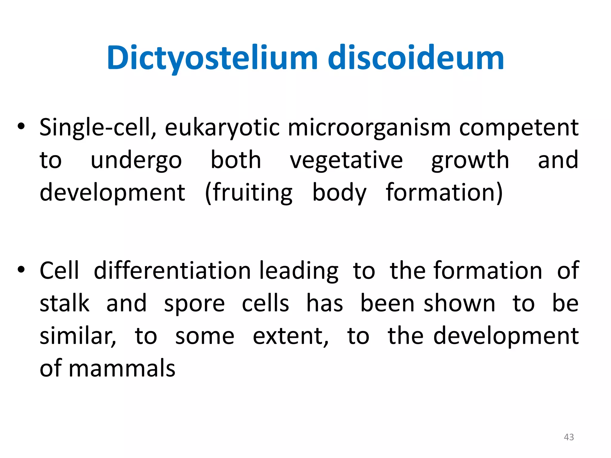 Dictyostelium discoideum
• Single-cell, eukaryotic microorganism competent
to undergo both vegetative growth and
development (fruiting body formation)
• Cell differentiation leading to the formation of
stalk and spore cells has been shown to be
similar, to some extent, to the development
of mammals
43
 