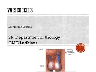 Dr. Prateek Laddha
SR, Department of Urology
CMC Ludhiana
 