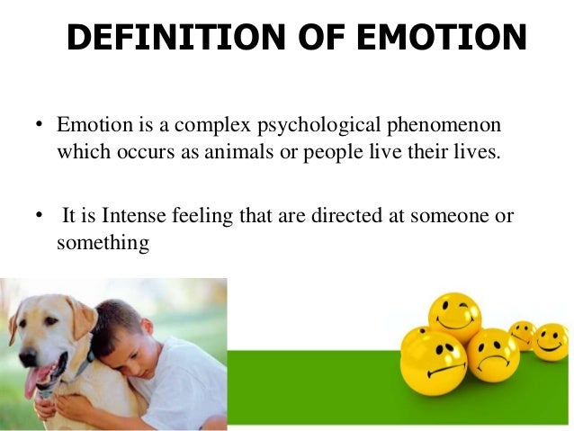 Emotional Stability Through Yoga