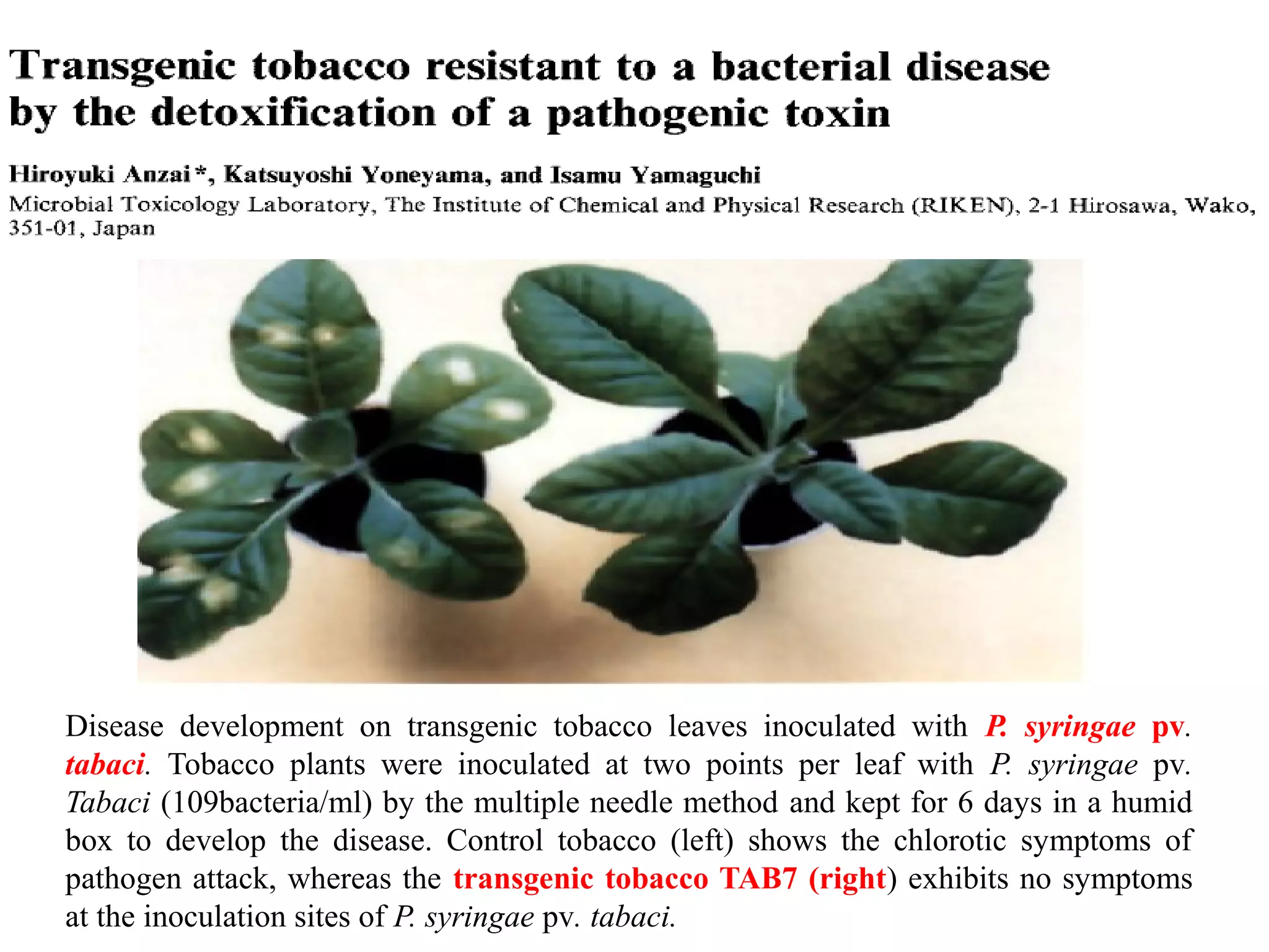 role-of-toxins-in-plant-pathogenesis-ppt