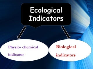 Ecological
Indicators
Physio- chemical
indicator
Biological
indicators
 