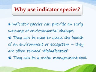 Indicator species can provide an early
warning of environmental changes.
 They can be used to assess the health
of an environment or ecosystem – they
are often termed ‘bioindicators’.
 They can be a useful management tool.
Why use indicator species?
 