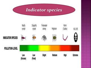 Indicator species
 