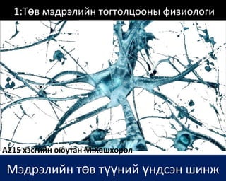 сэрэмтгий эсийн физиологи | PPT