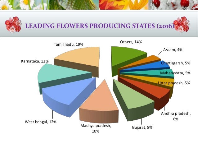 Floriculture A Boon For Doubling Farmers