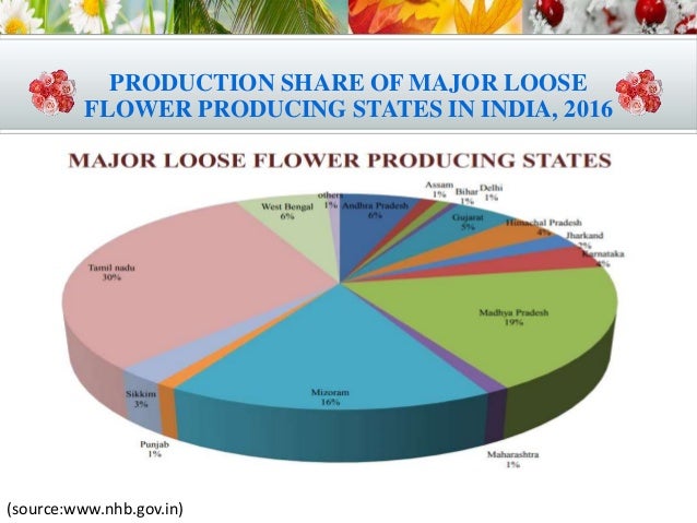 Floriculture A Boon For Doubling Farmers